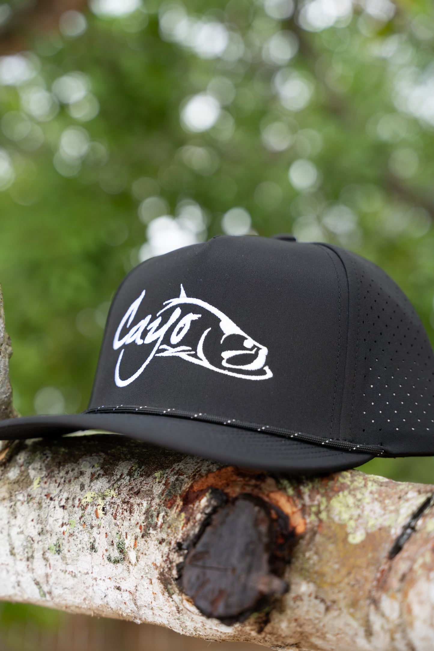 Cayo Perforated Black
