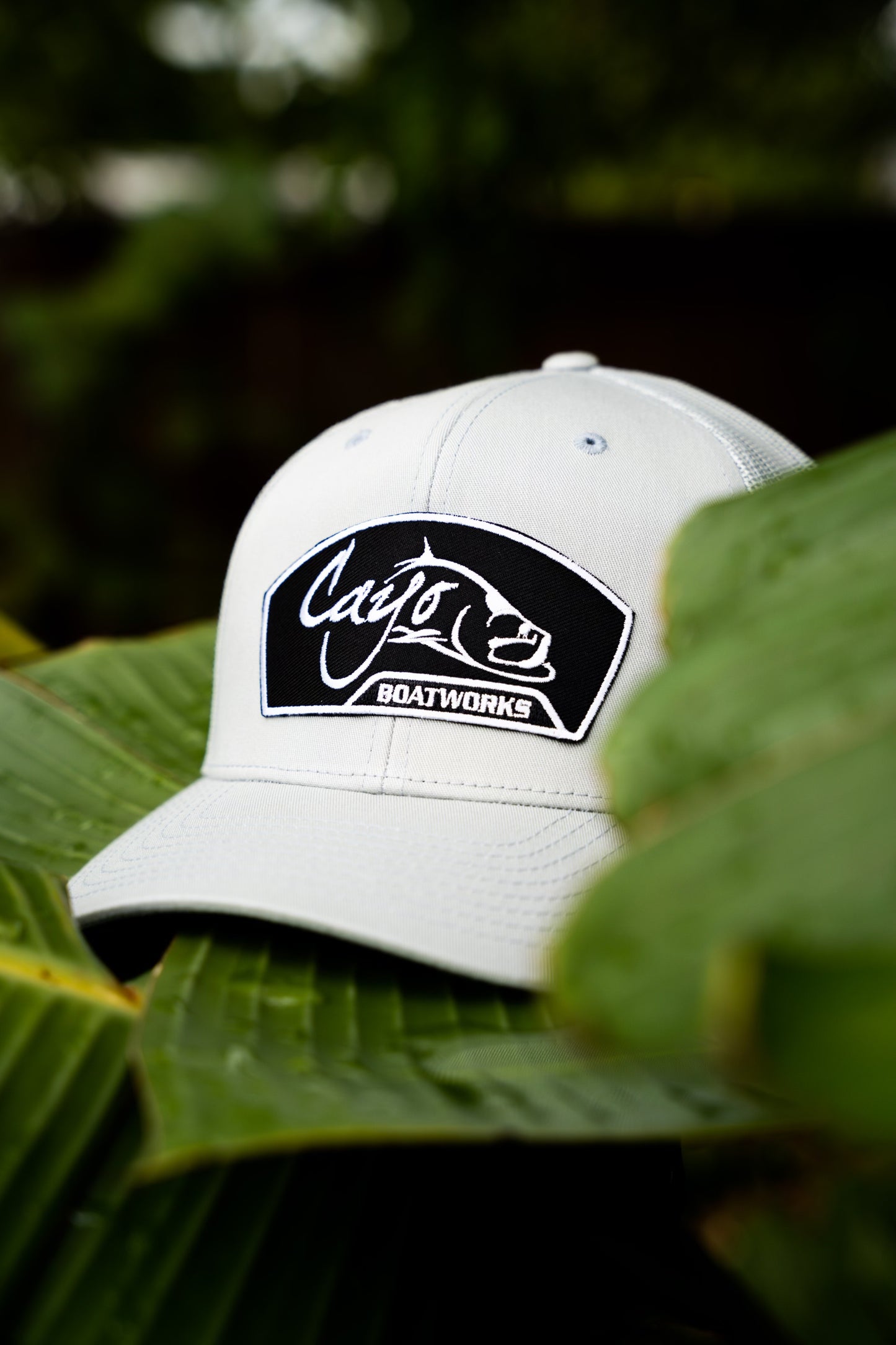 Cayo Curved Brim Light Grey