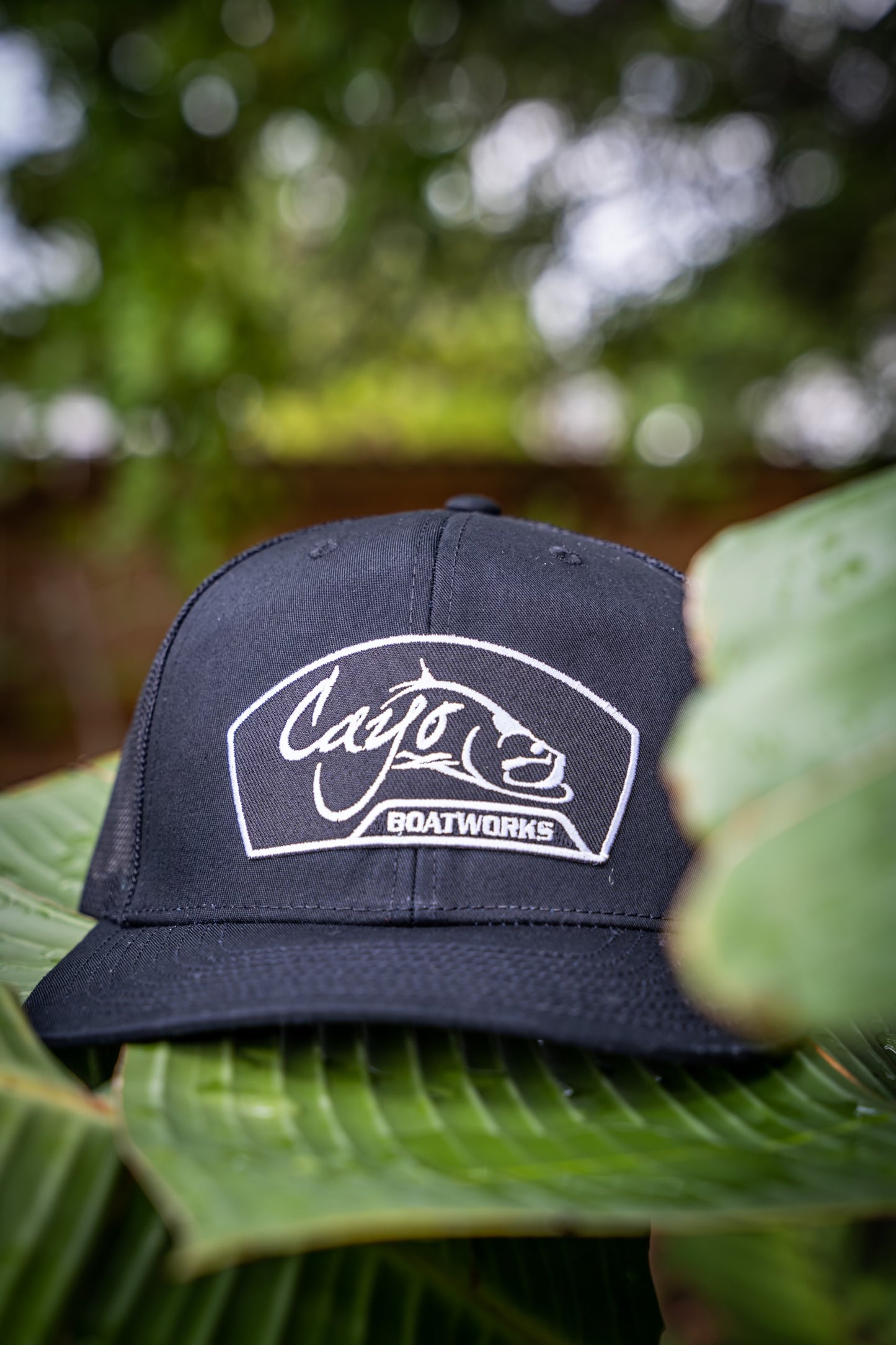 Cayo Curved Brim Black